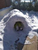 Iglu