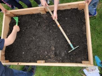 Foto von Schülern, die Hochbeet bepflanzen
